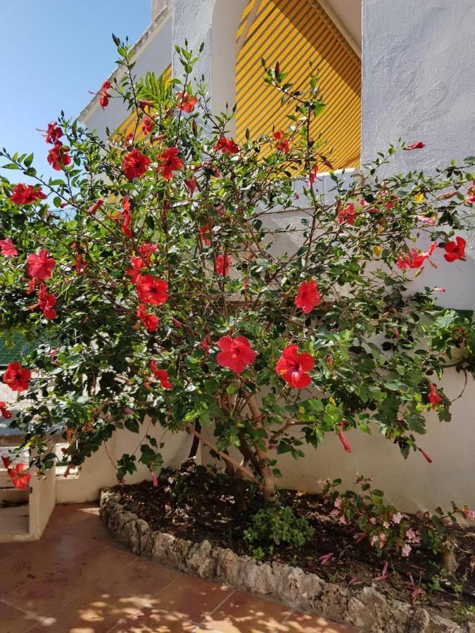 Deluxe Studio Athos 50 Mp Garden Patio Benalmadena Golf & Beach Extérieur photo